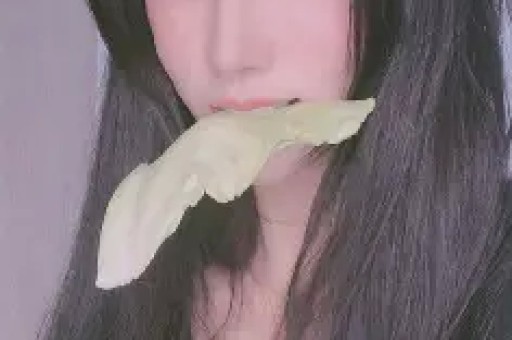-2026最新版vv